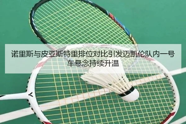 nuo-li-si-yu-pi-ya-si-te-li-pai-wei-dui-bi-yin-fa-mai-kai-lun-dui-nei-yi-hao-che-xuan-nian-chi-xu-sheng-wen-2-694.jpg